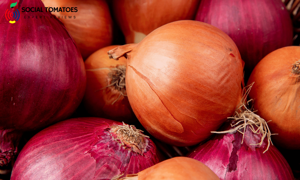 How To Tell If An Onion Is Bad?
